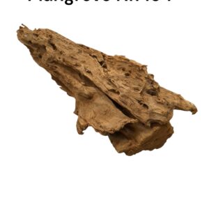 WhatsApp Image 2024-12-11 at 13.31.27.jpeg