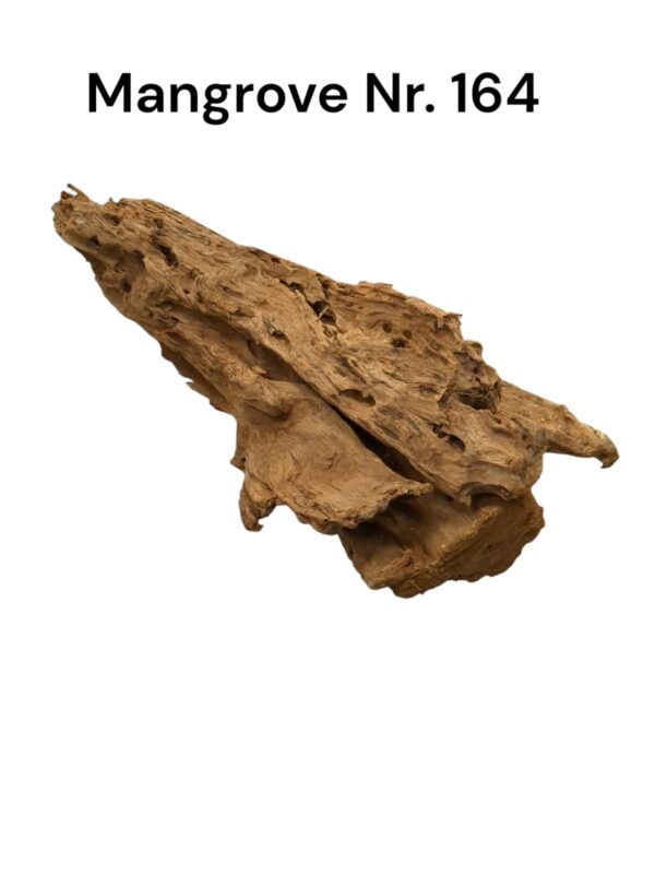 WhatsApp Image 2024-12-11 at 13.31.27.jpeg