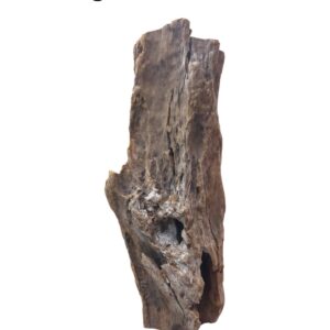 WhatsApp Image 2024-12-10 at 12.09.00.jpeg