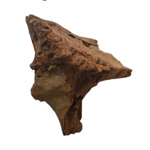 WhatsApp Image 2024-12-10 at 12.33.23.jpeg