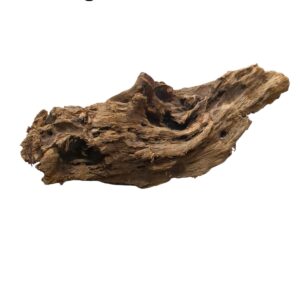 WhatsApp Image 2024-12-10 at 12.37.00.jpeg