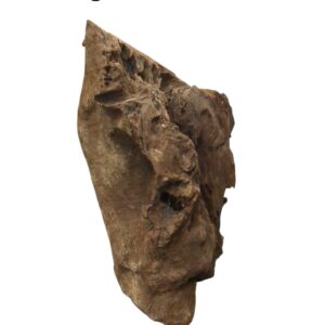 WhatsApp Image 2024-12-10 at 12.41.40.jpeg