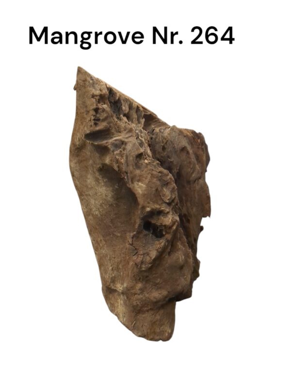 WhatsApp Image 2024-12-10 at 12.41.40.jpeg