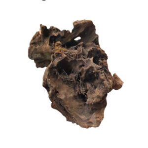 WhatsApp Image 2024-12-10 at 12.44.24.jpeg