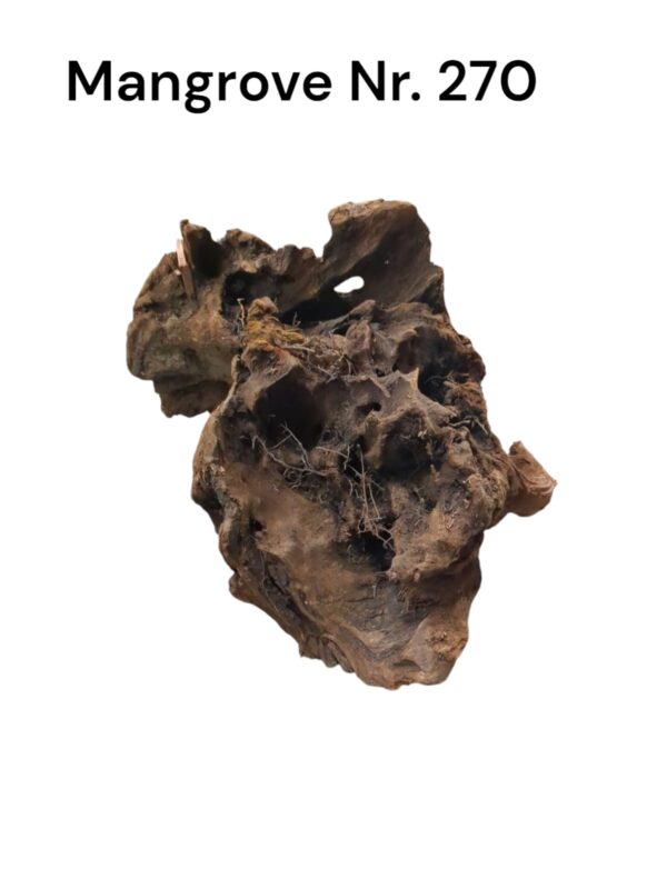 WhatsApp Image 2024-12-10 at 12.44.24.jpeg