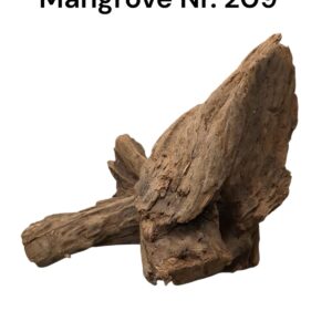 WhatsApp Image 2024-12-11 at 13.54.53.jpeg