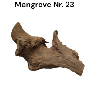 WhatsApp Image 2024-12-11 at 14.44.03.jpeg