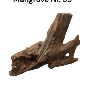 WhatsApp Image 2024-12-11 at 14.22.01.jpeg