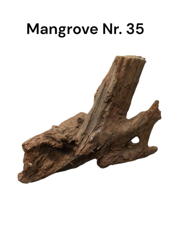 WhatsApp Image 2024-12-11 at 14.22.01.jpeg