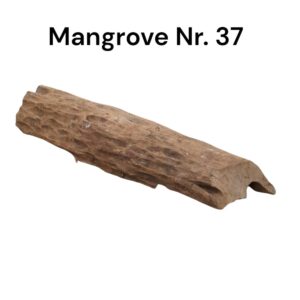 WhatsApp Image 2024-12-11 at 14.31.06.jpeg