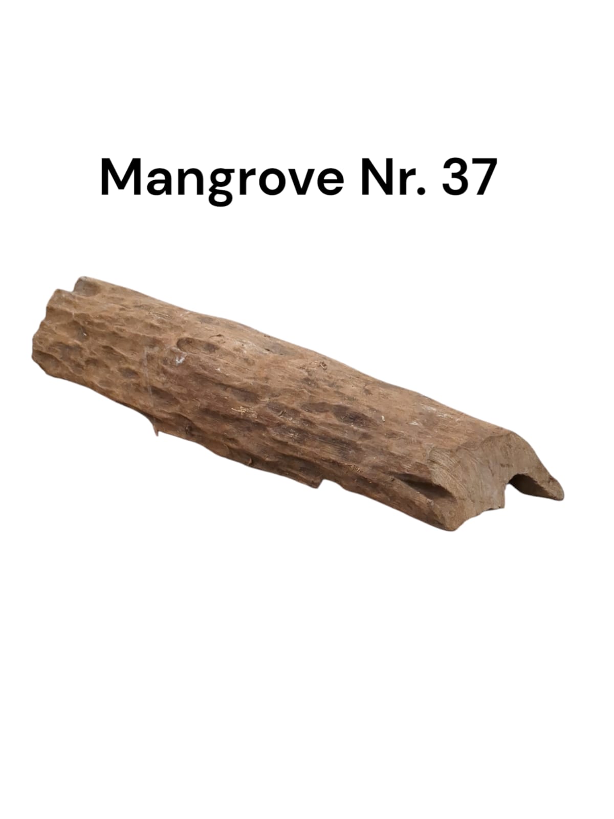 WhatsApp Image 2024-12-11 at 14.31.06.jpeg