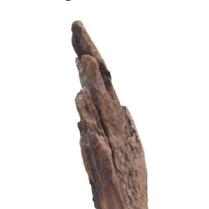 WhatsApp Image 2024-12-10 at 11.20.28.jpeg