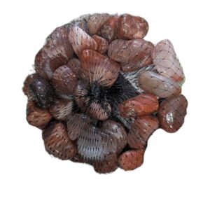 WhatsApp Image 2025-08-19 at 11.49.30.jpeg