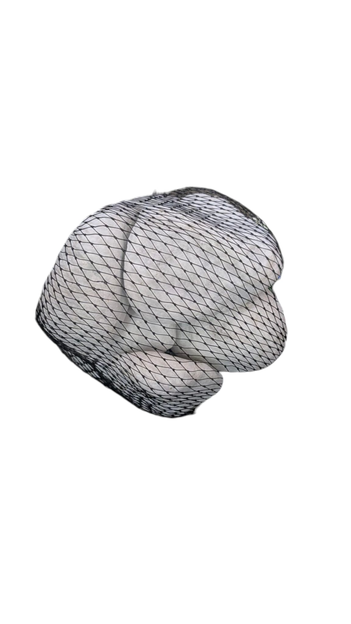 WhatsApp Image 2025-08-19 at 11.52.12.jpeg