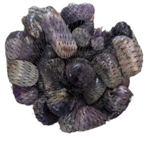 WhatsApp Image 2025-08-19 at 11.53.03.jpeg