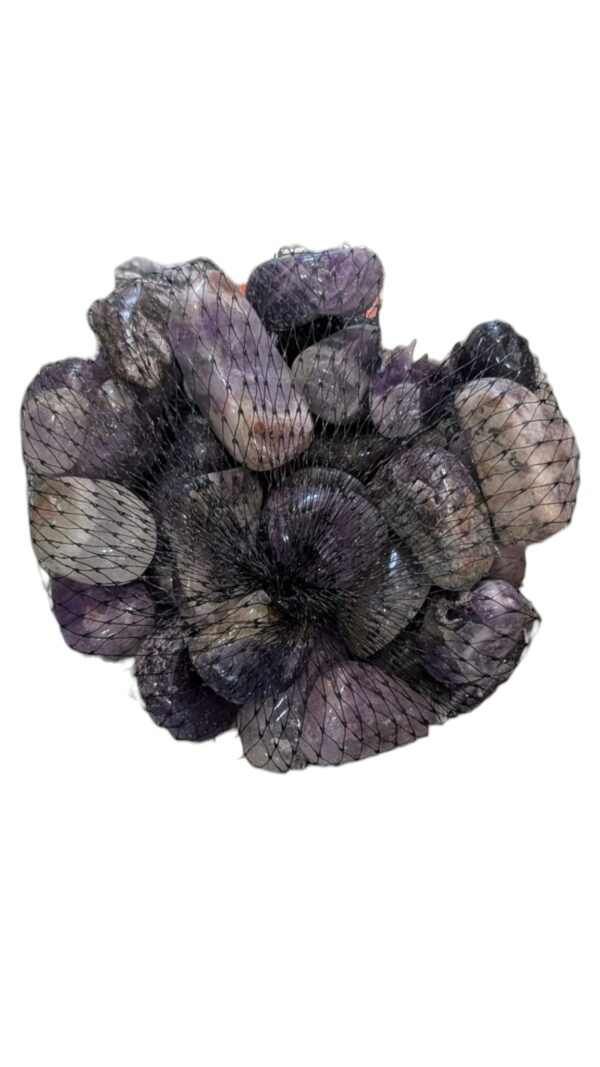 WhatsApp Image 2025-08-19 at 11.53.03.jpeg