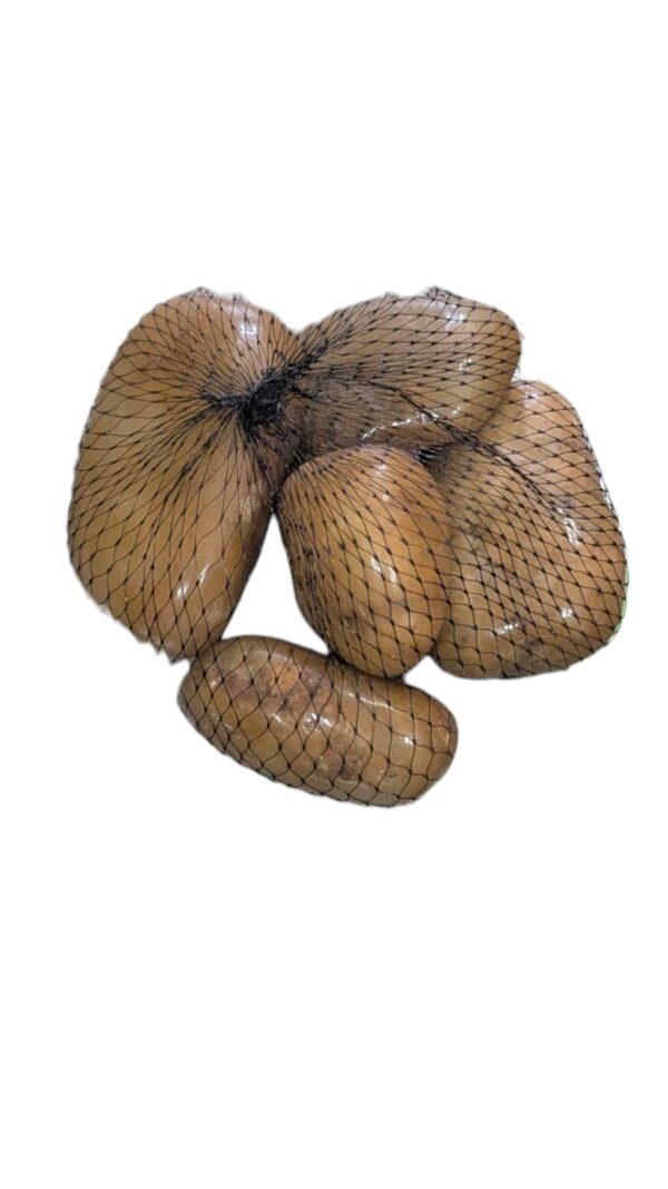 WhatsApp Image 2025-08-19 at 11.50.49.jpeg