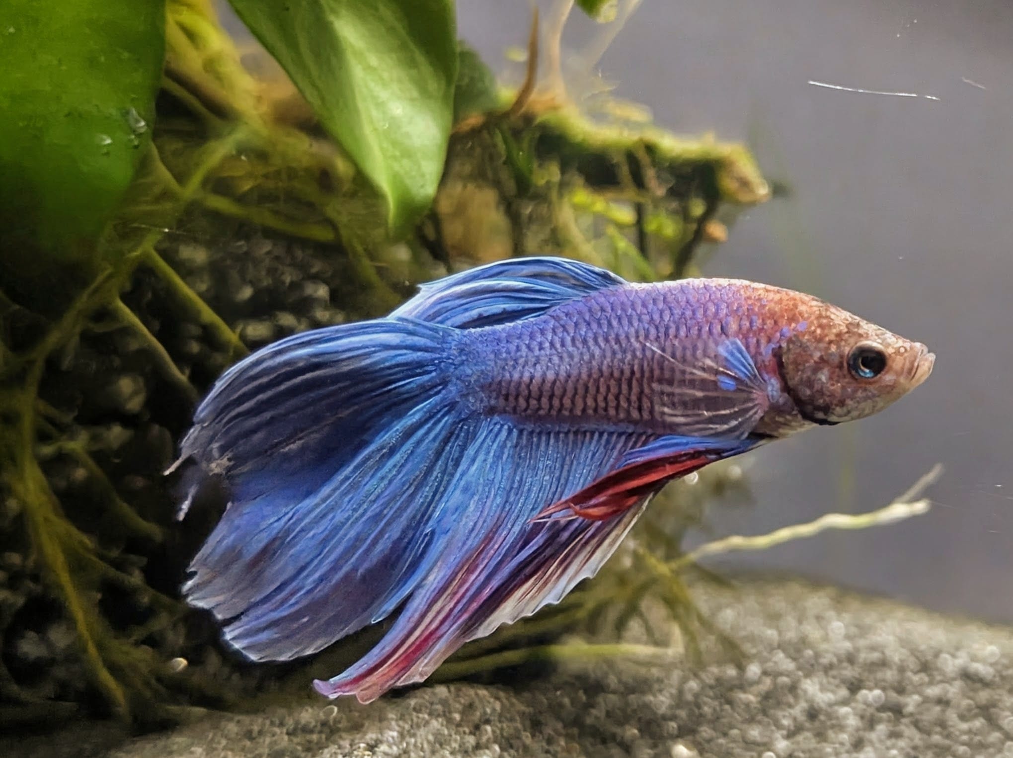 WhatsApp Image 2025-10-17 at 17.21.50.jpeg