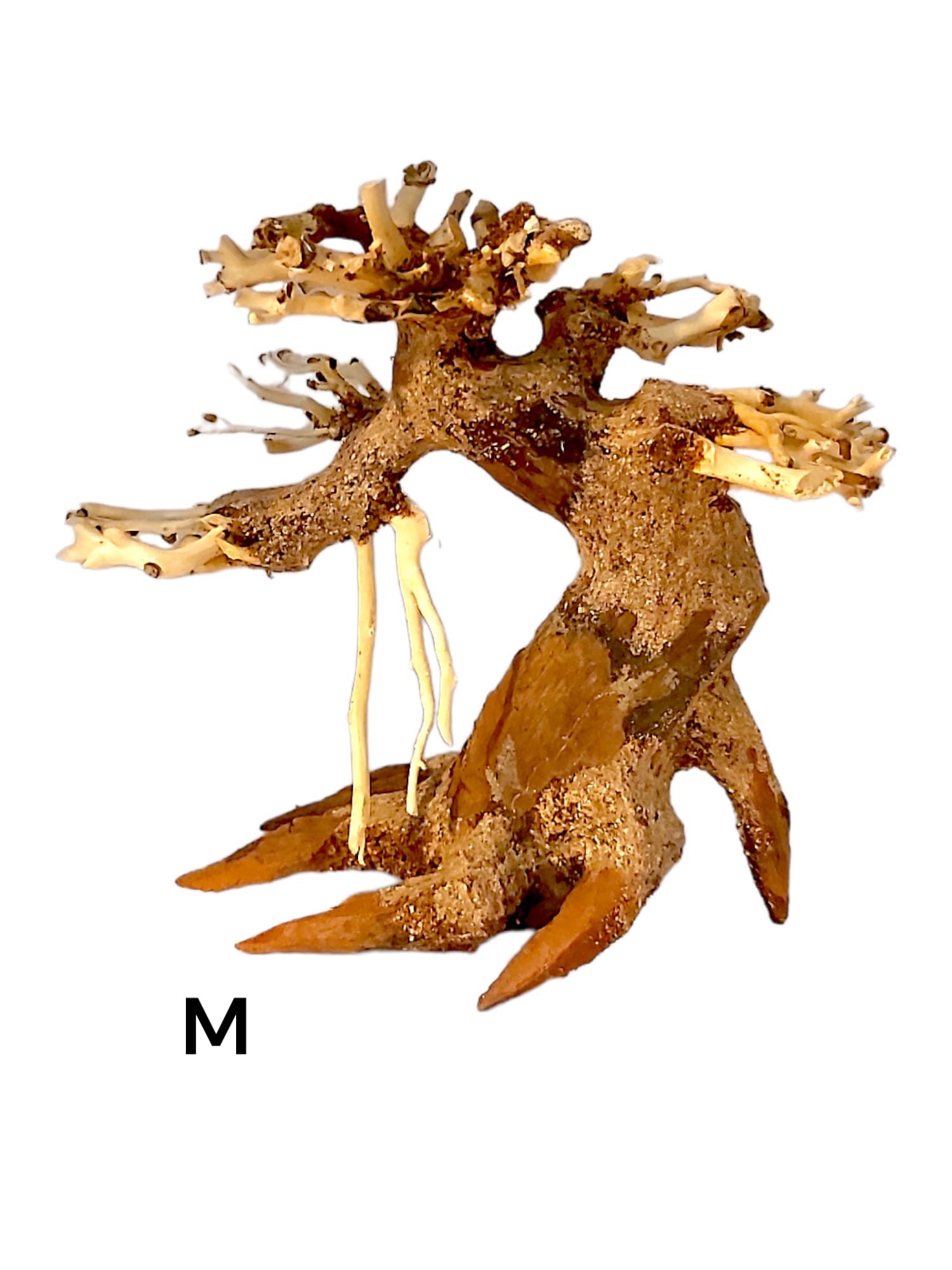 Garnelenbaum-M.jpg