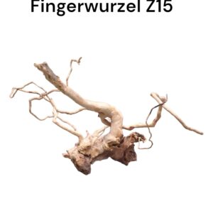 fingerwurzelz15a.jpg