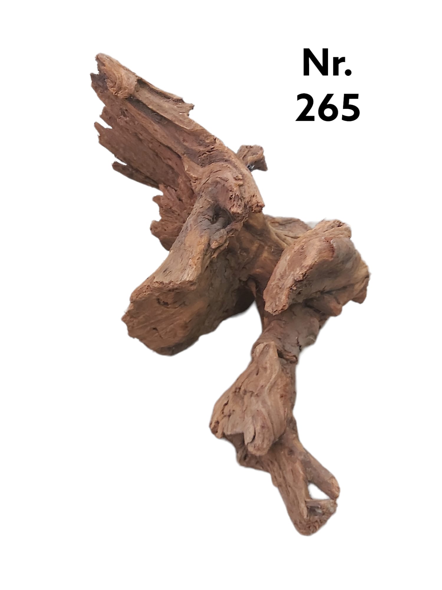 Mangrovenwurzel-Nr-265vjO2xai4FJnby.jpg