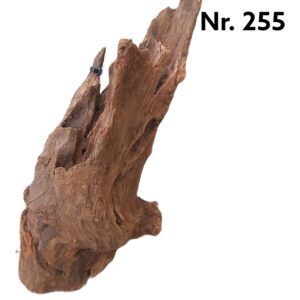 Mangrovenwurzel-Nr-255_EjFLOAckIL7q7.jpg