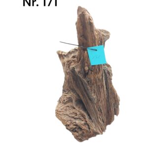 Mangrovenwurzel-Nr-171XpNjf7HM5M7We.jpg