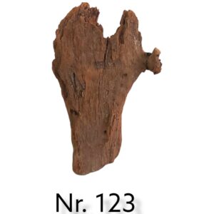 Mangrovenwurzel-Nr-123.jpg