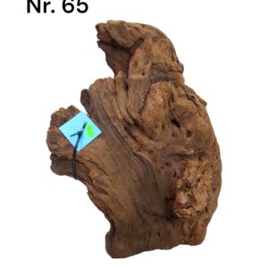 Mangrovenwurzel-Nr-65Dts8IYvj8rXSF.jpg