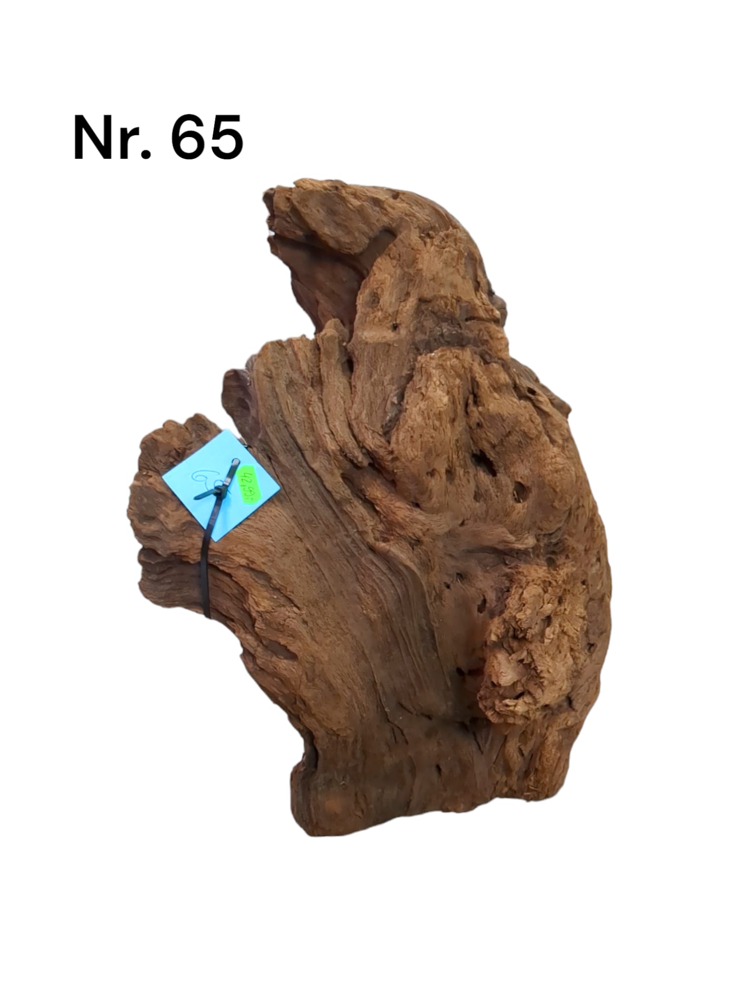 Mangrovenwurzel Nr. 65