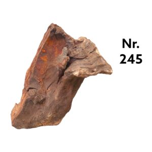 Mangrovenwurzel-Nr-245amr2LW3QUOZGo.jpg