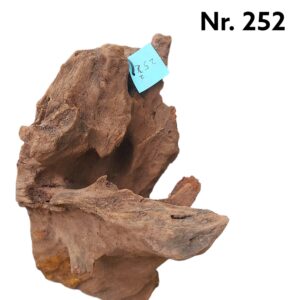 Mangrovenwurzel-Nr-252_.jpg
