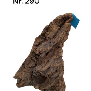 Mangrovenwurzel-Nr-290_.jpg