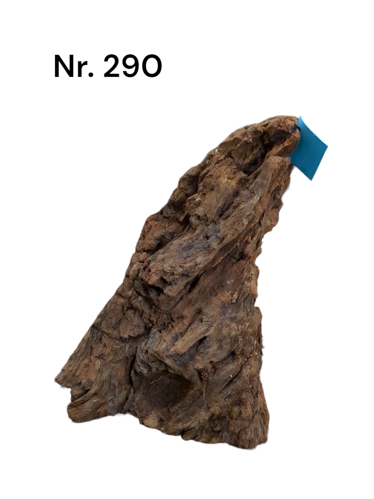 Mangrovenwurzel Nr. 290