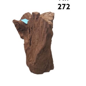 Mangrovenwurzel-Nr-272_.jpg