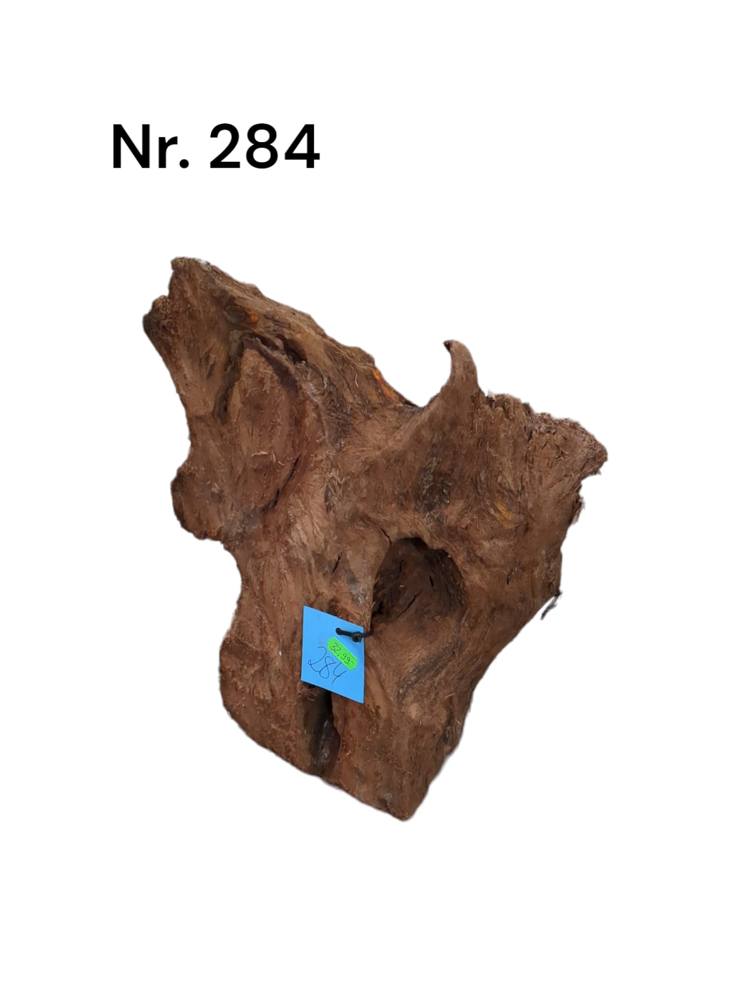 Mangrovenwurzel Nr. 284