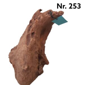 Mangrovenwurzel-Nr-253_AsxJpKdze1CpD.jpg