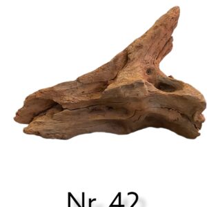 Mangrovenwurzel-Nr-42.jpg