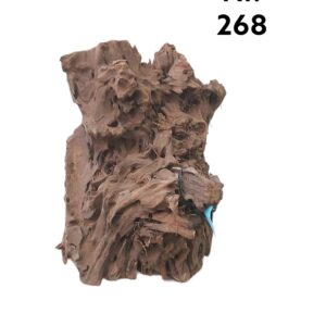 Mangrovenwurzel-Nr-268DNg6c1LleyLjI.jpg