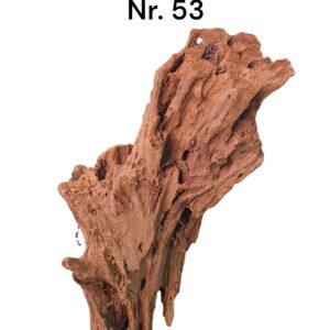 Mangrovenwurzel-Nr-53_.jpg