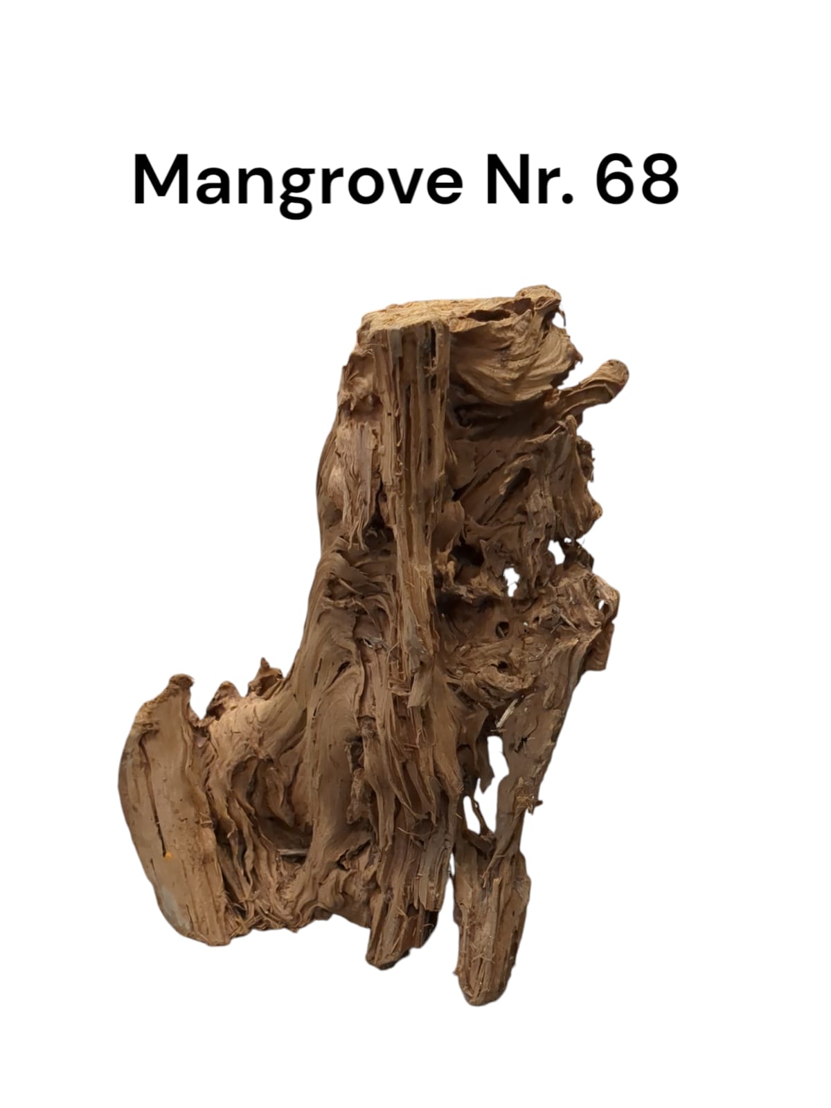 Mangrovenwurzel Nr. 68