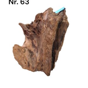 Mangrovenwurzel-Nr-63_2gaR35T6ILFVA.jpg