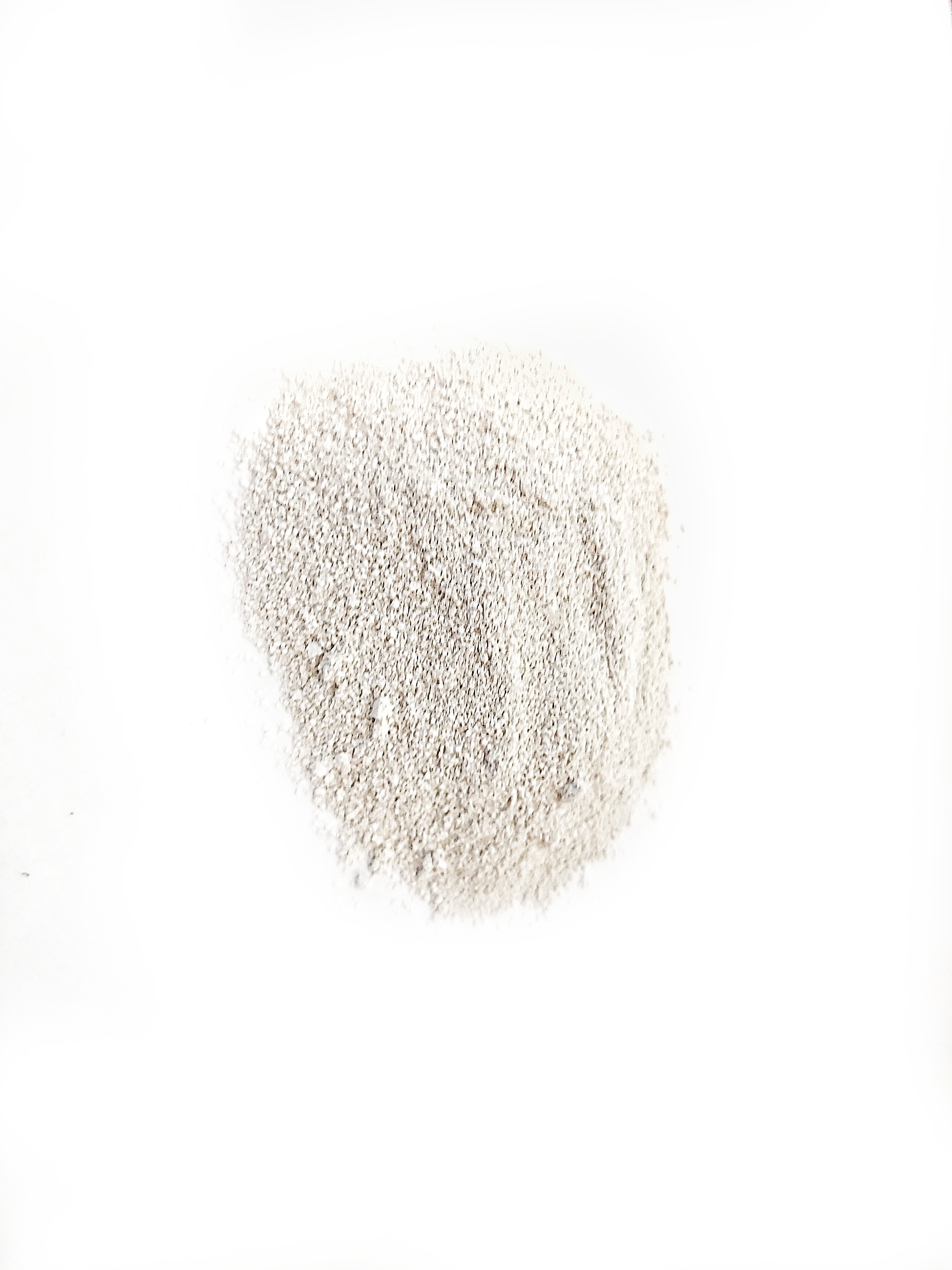 Calcium Pulver – Schneckengehäuseaufbau