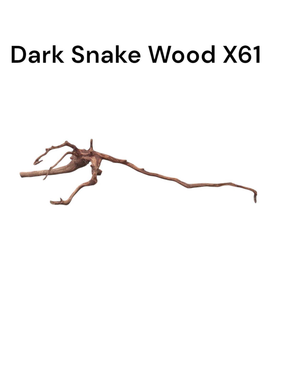 Dark Snake Wood X61