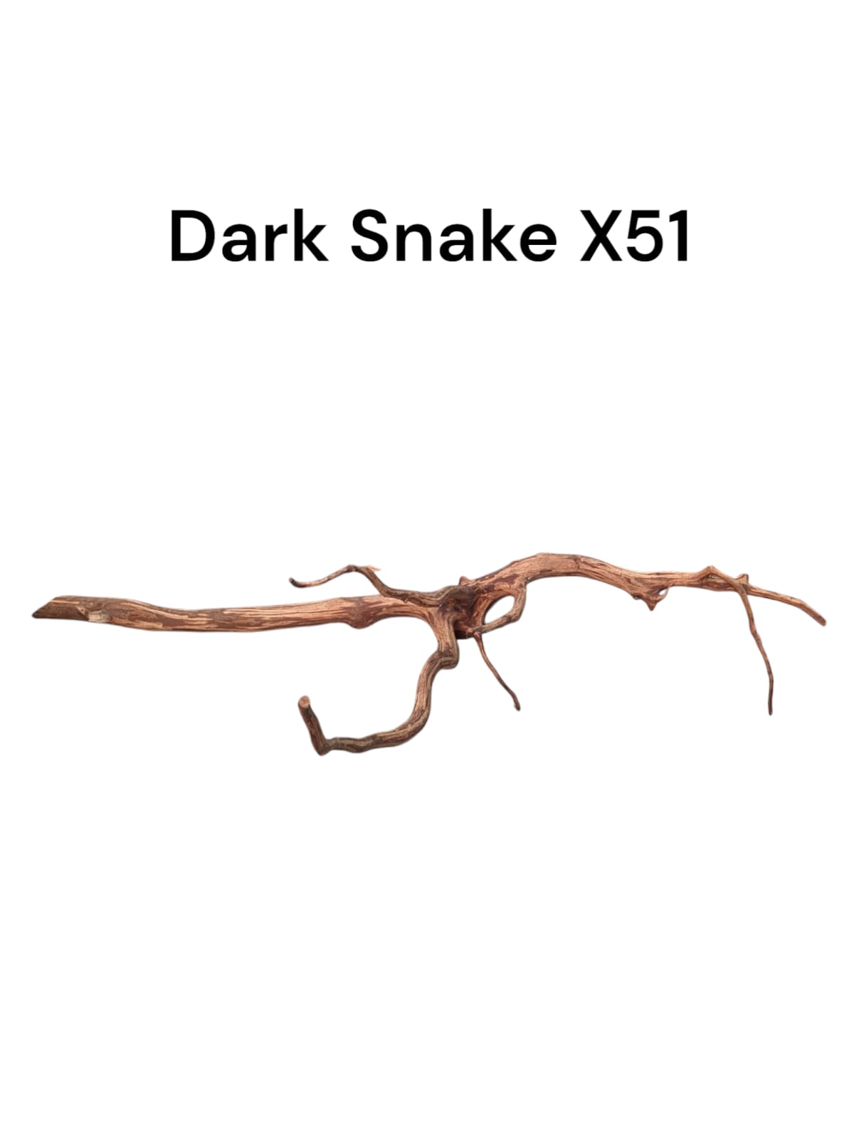 Dark Snake Wood X51