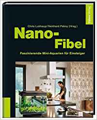 Nano Fibel