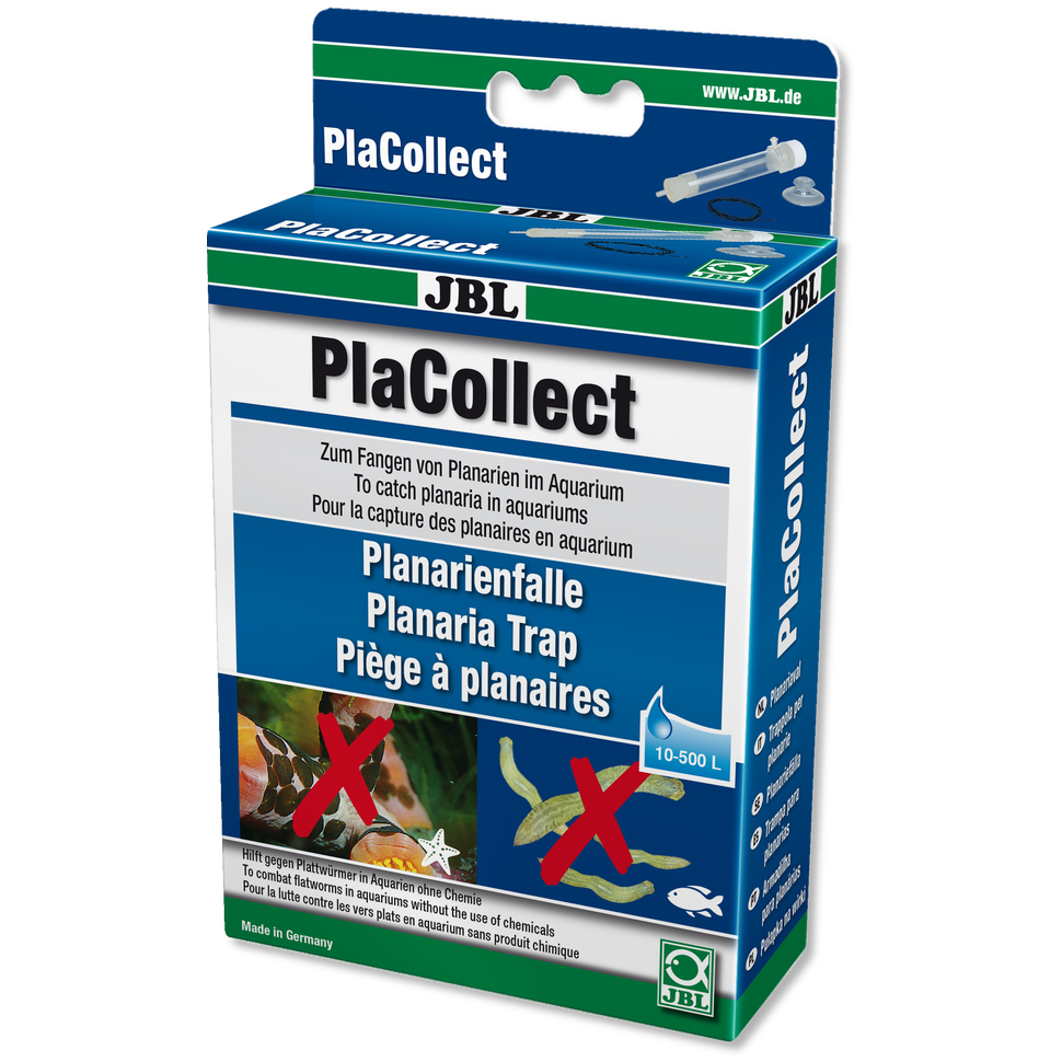 PlaCollect – Planarienfalle