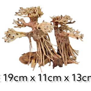 garnelenbaum-aquascape.png