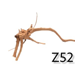 Fingerwurzel-Z52.jpg