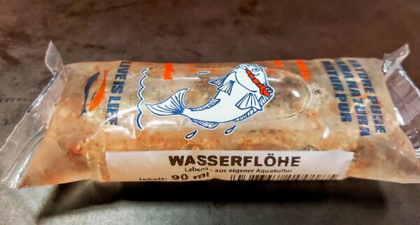 wasserflöhe.jpg